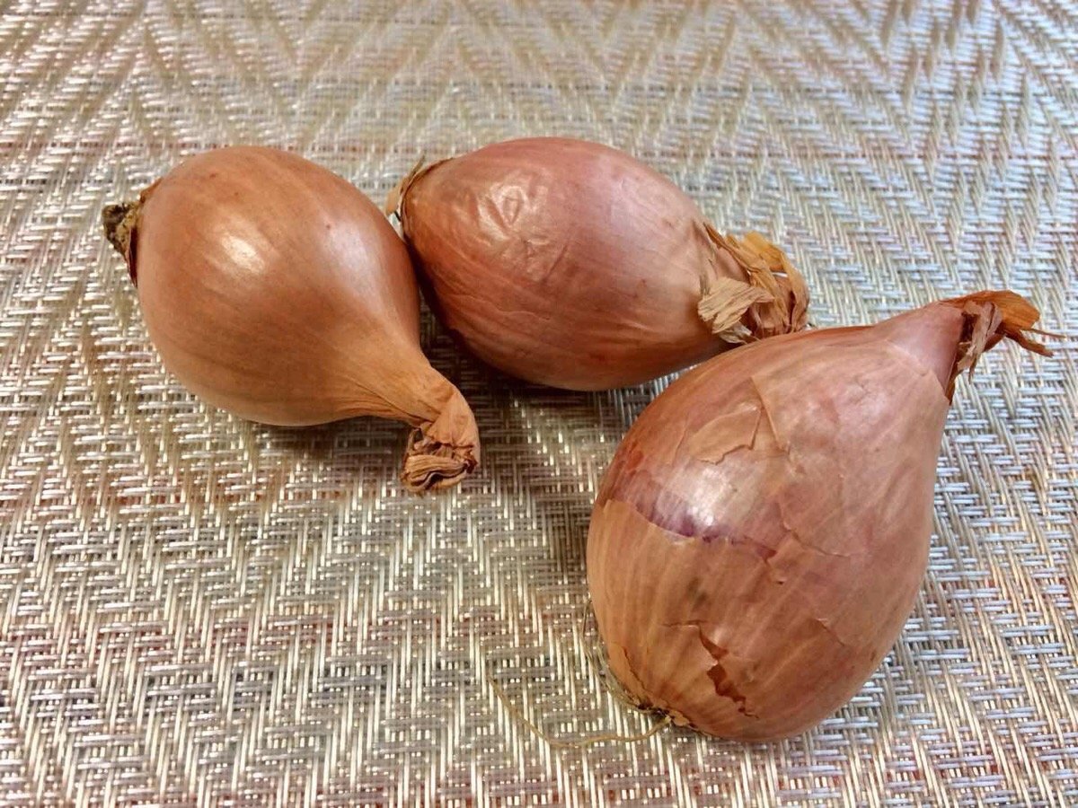 Amazon.co.jp: フランスの野菜通年 エシャロットフランス産約1Kg